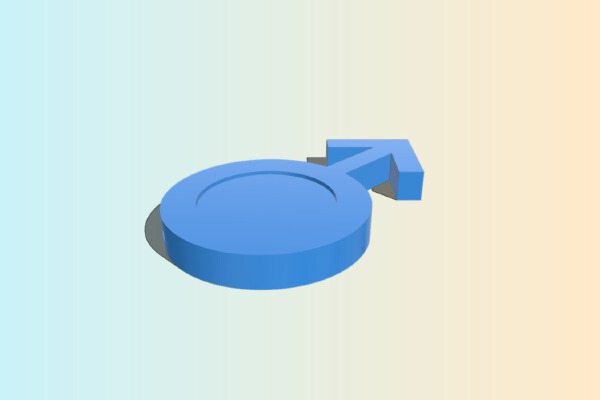 Gender Thing | 3d print model