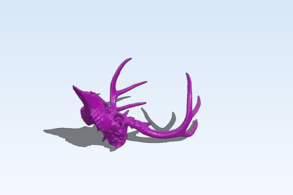 Deer Skull | 3d print model
