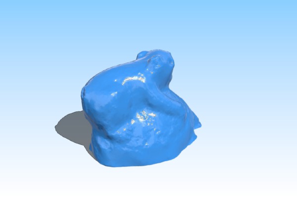 Turtle Rider | 3d print model