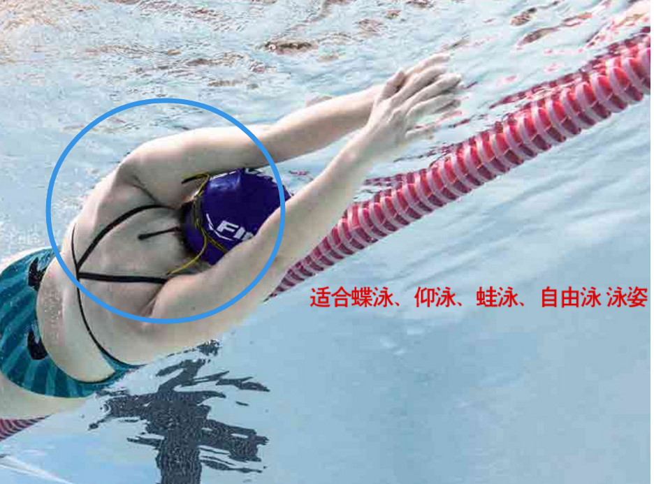 29484285-62bd-431c-9c0a-dd9760af303b