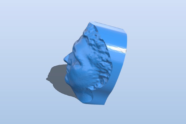 My MakerBot 3D Portrait from Jun 21, 2013 | 3d print model