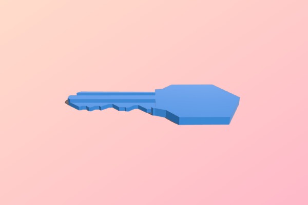 Funcional key | 3d print model