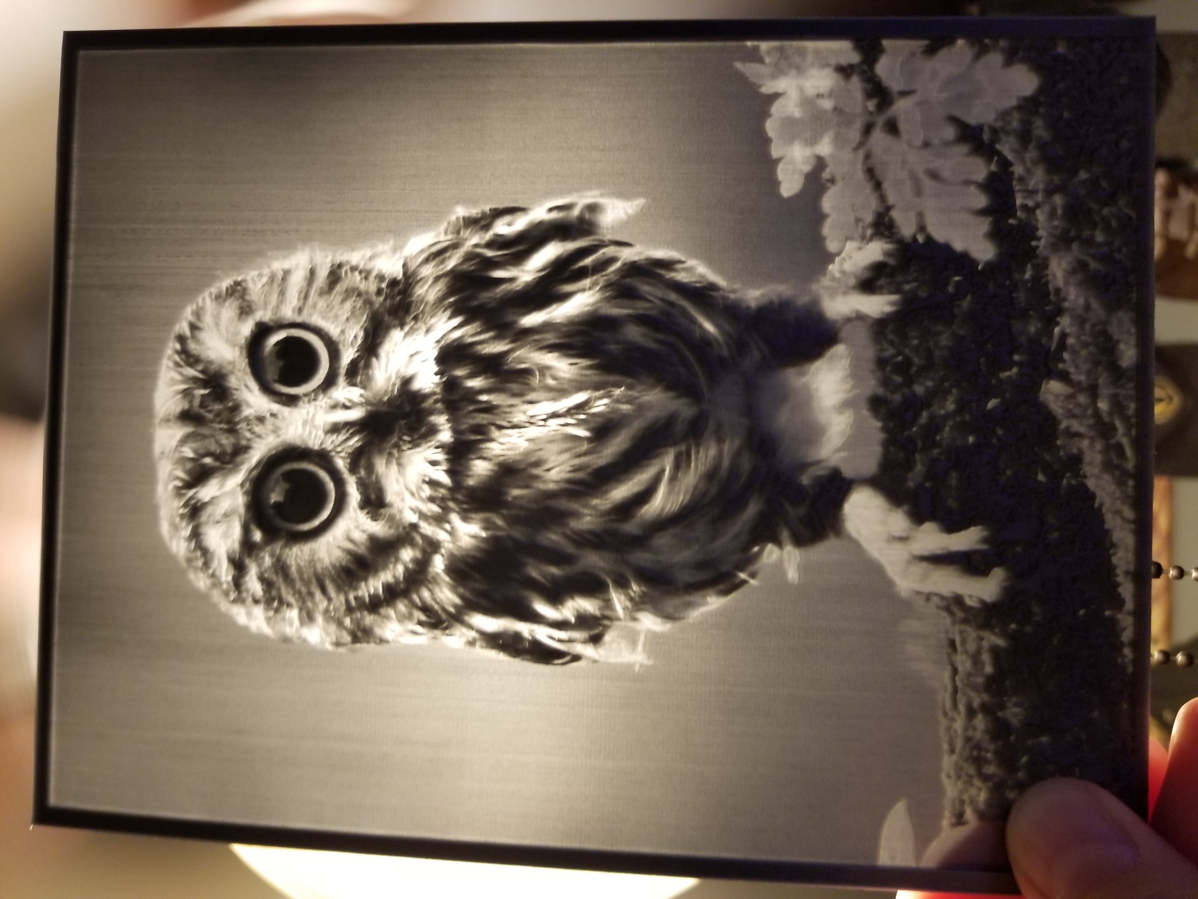 Owl Lithophane