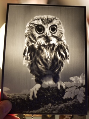 Owl Lithophane | 3d print model