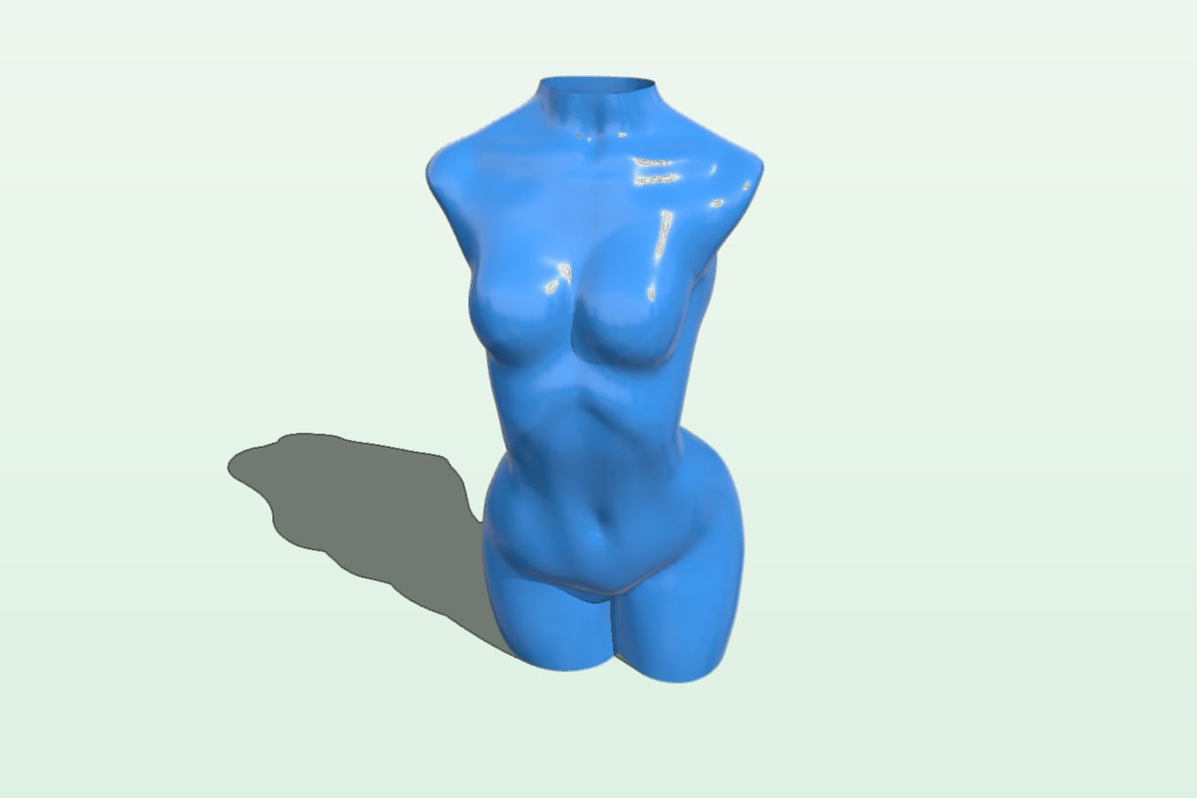 Flat vase woman chest