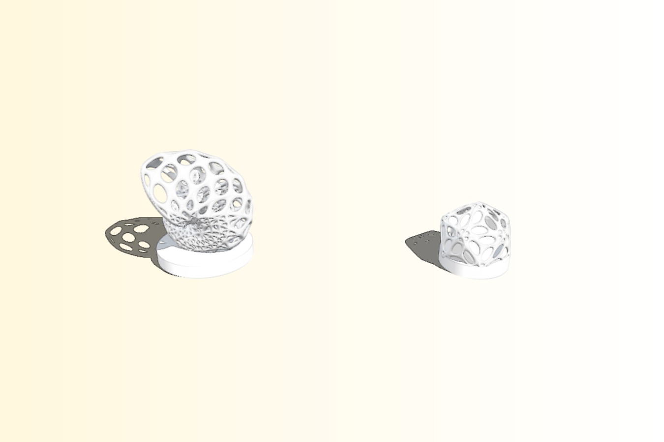 Orchid Mount in shell and dodehedron shape