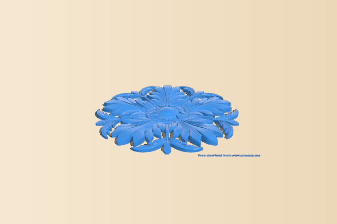 Flower pattern circle
