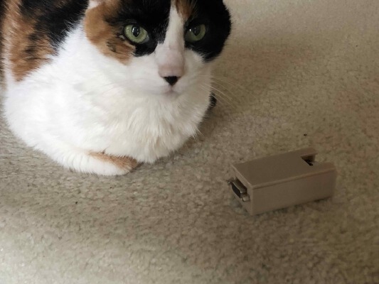 The Old Net WIFI Modem case | 3d print model