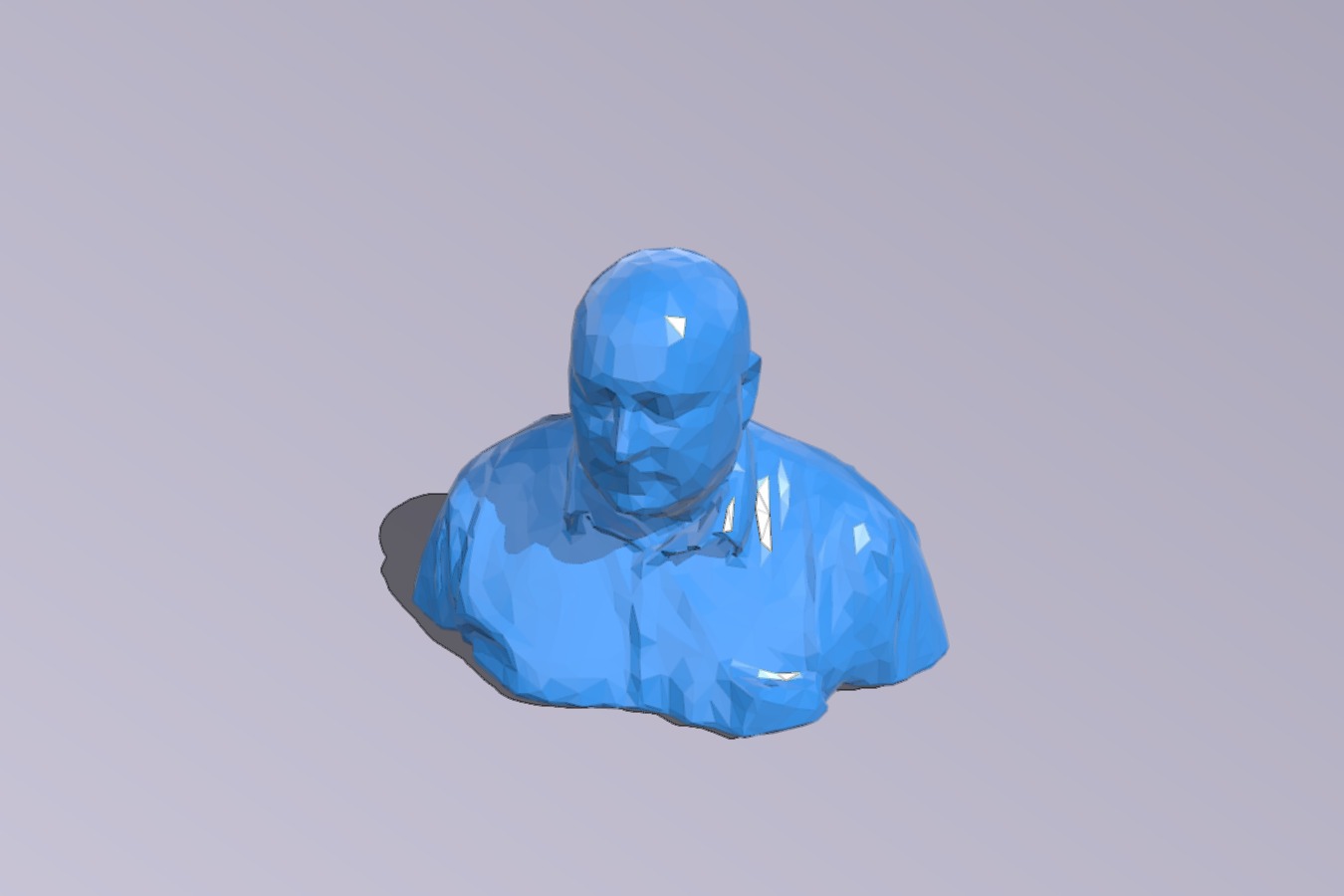 David J. Hinson Bust