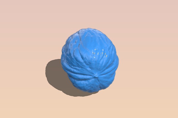 Walnut - 3D Scan | 3d print model