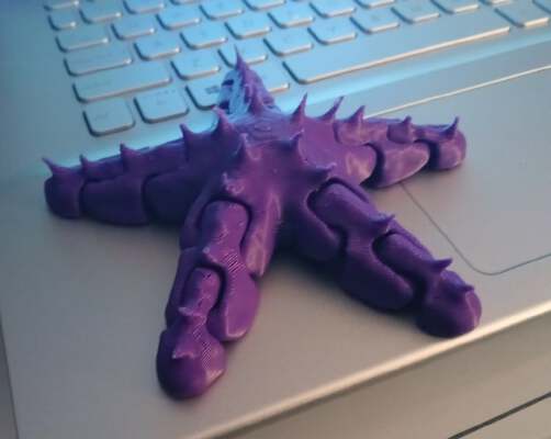 Articulated Starfish ( FIxed Meshed Remixed ) | 3d print model