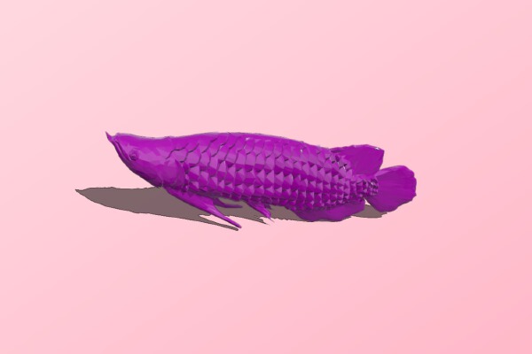 Dragon Fish 3D Model | 3d print model