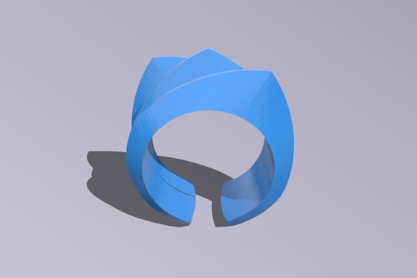 ring | 3d print model