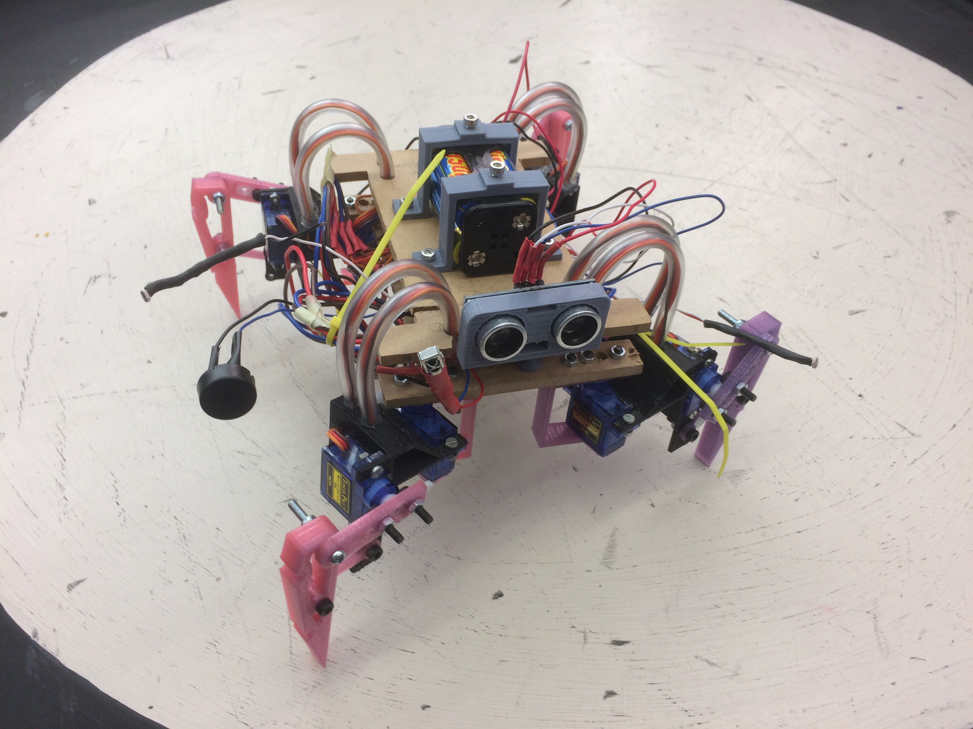 8 Servo Walking Quadruped