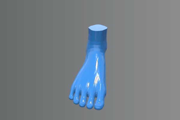 grosser Fuss  big Foot 22cm | 3d print model