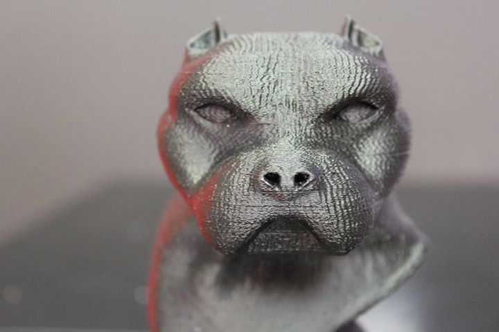 Bust dog