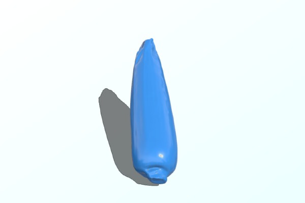 The Corn with Husks | 3d print model