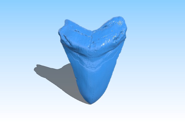 Megalodon Tooth - Stand-Alone Remix | 3d print model