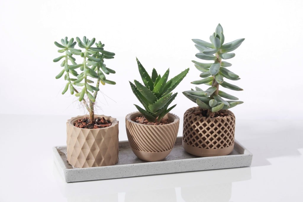 Modern geometric Succulent plant pot