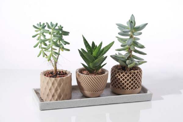 Modern geometric Succulent plant pot | 3d print model