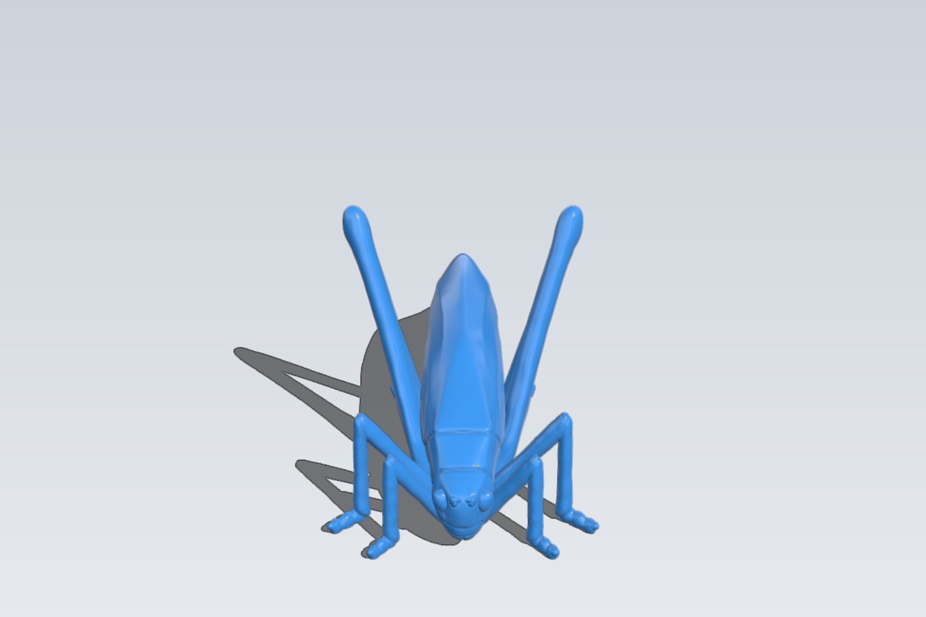 Insect