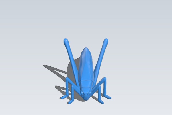 Insect | 3d print model