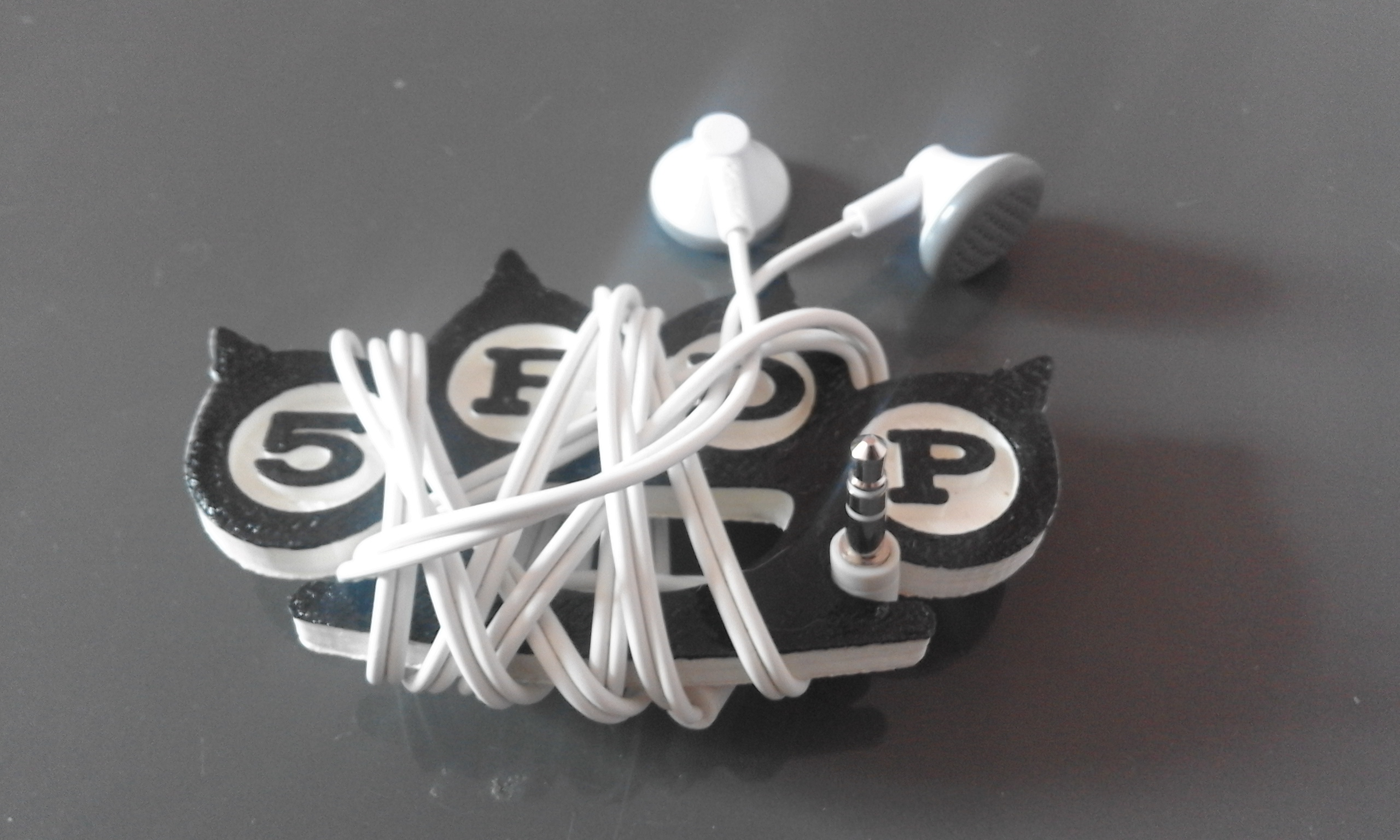 Five Finger Death Punch Earbud Holder