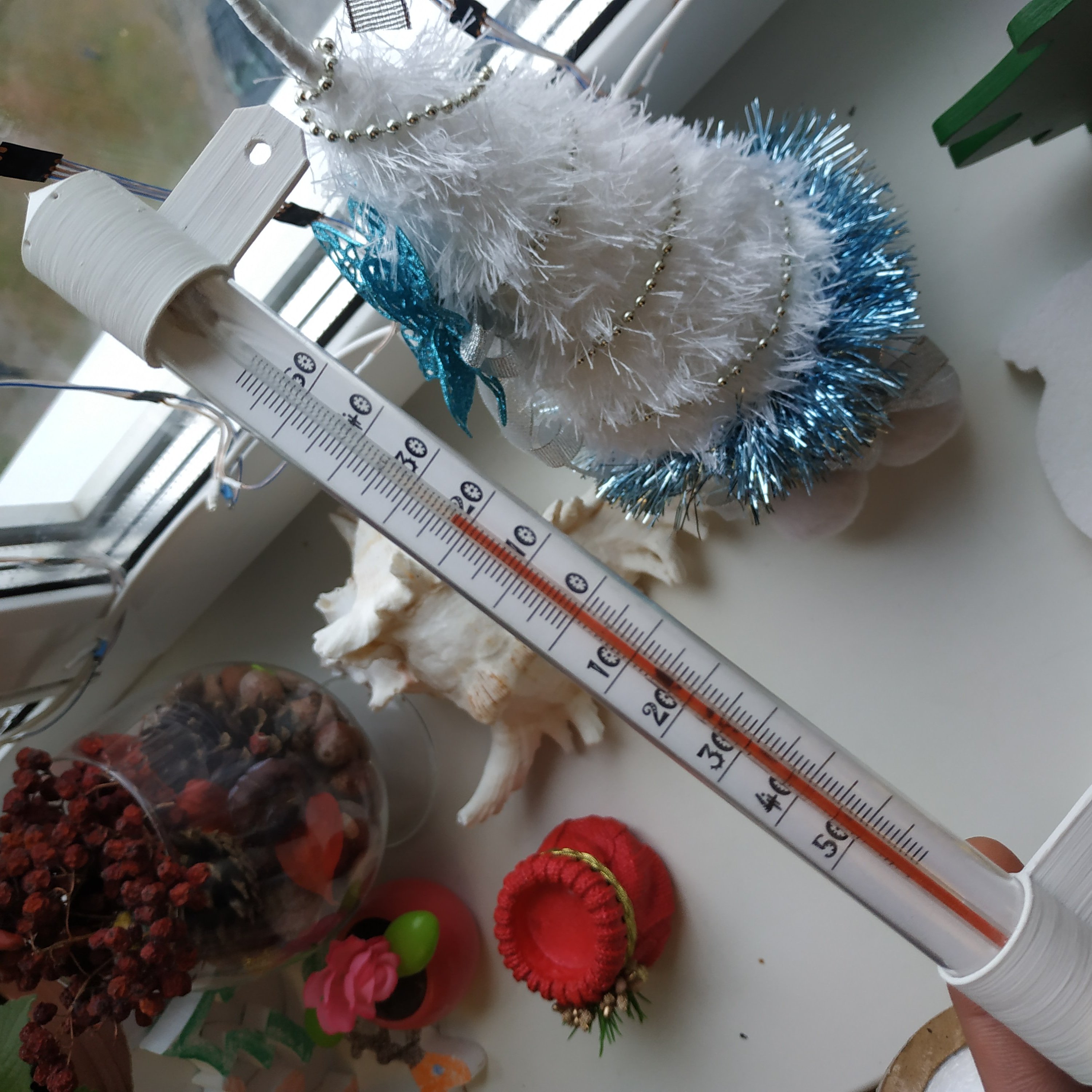 Thermometer mount