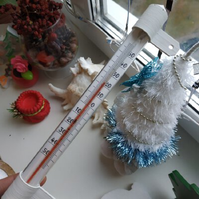 Thermometer mount | 3d print model