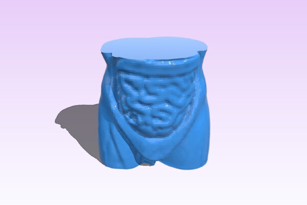 Organos | 3d print model