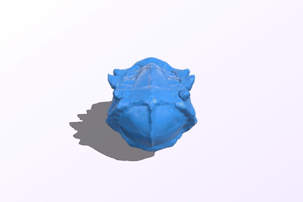 Head solid skull | 3d print model