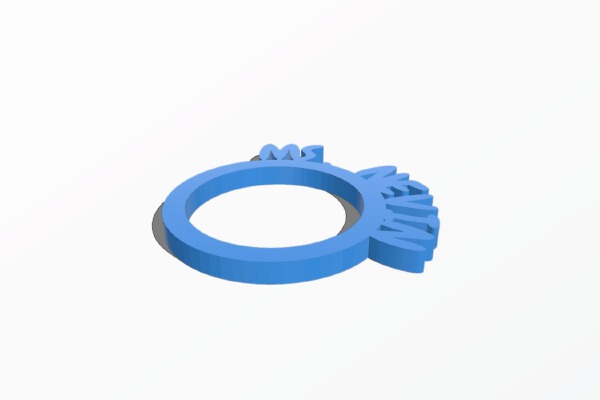 My Customized Personalized Napkin Rings | 3d print model