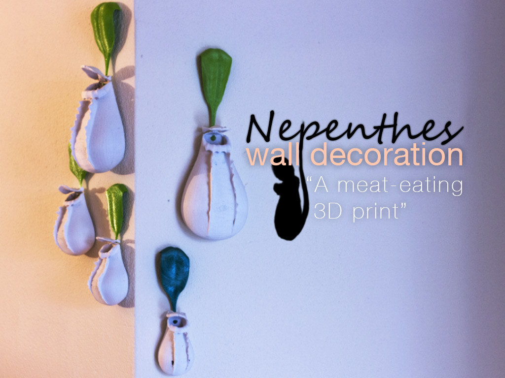 Nepenthes wall decoration