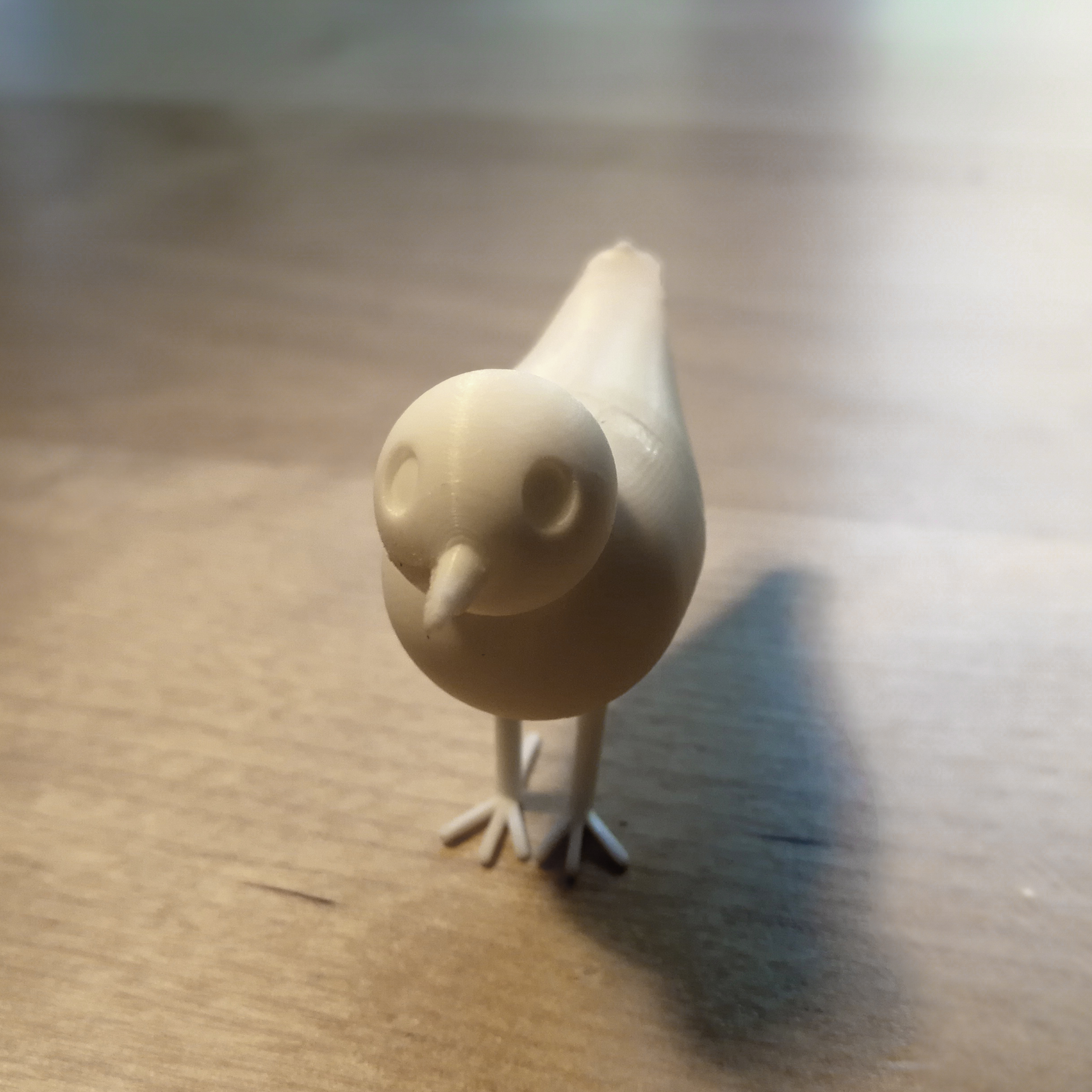 Baxter the bird