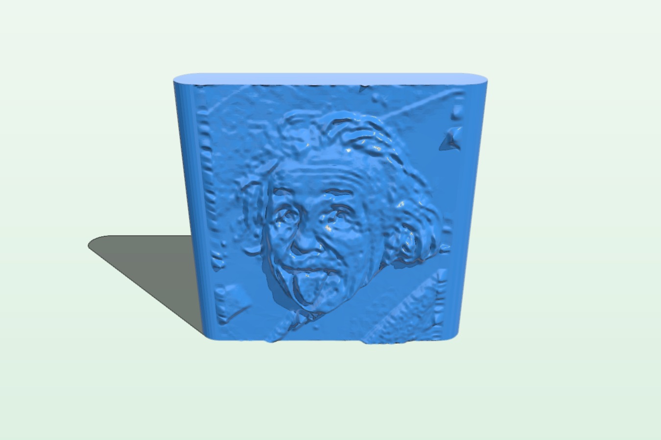Einstein face