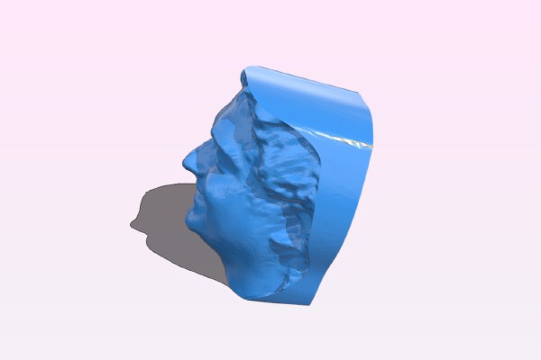My MakerBot 3D Portrait from Dec 6, 2012 | 3d print model