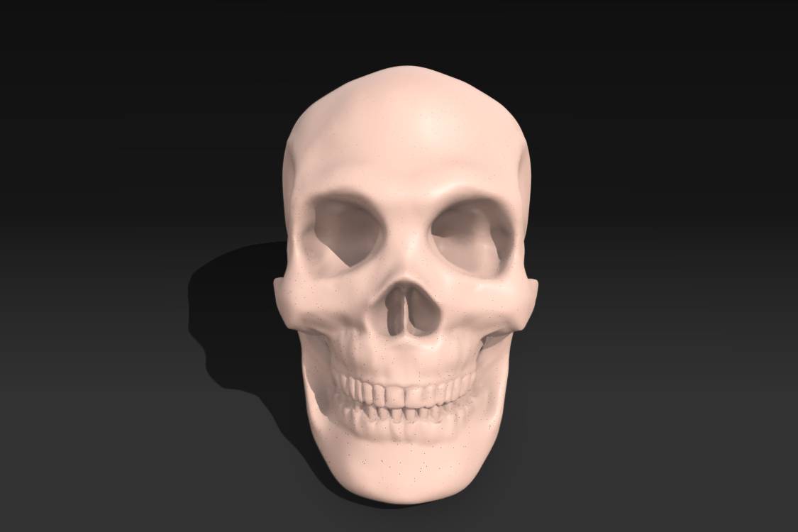 T3d_skull_orient | 3d print model