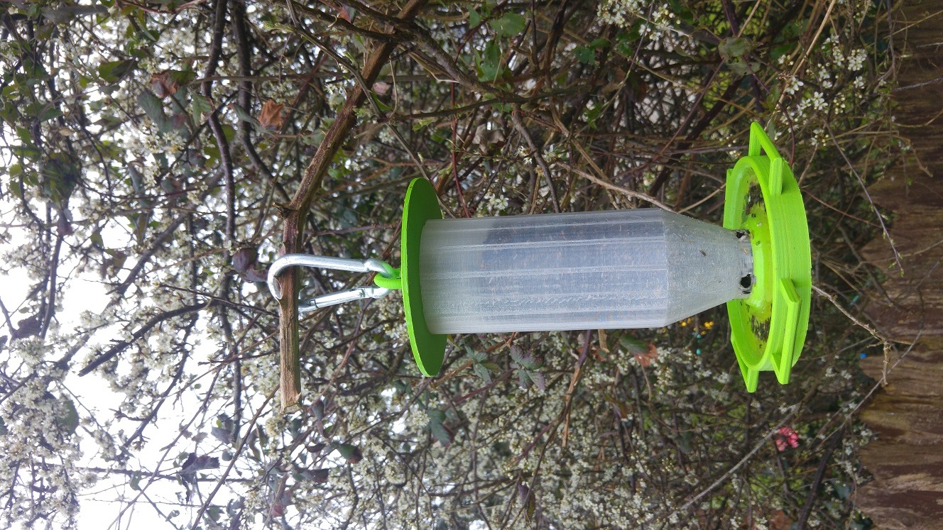 Wild Finch Bird Feeder