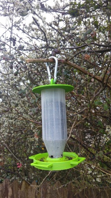 Wild Finch Bird Feeder | 3d print model