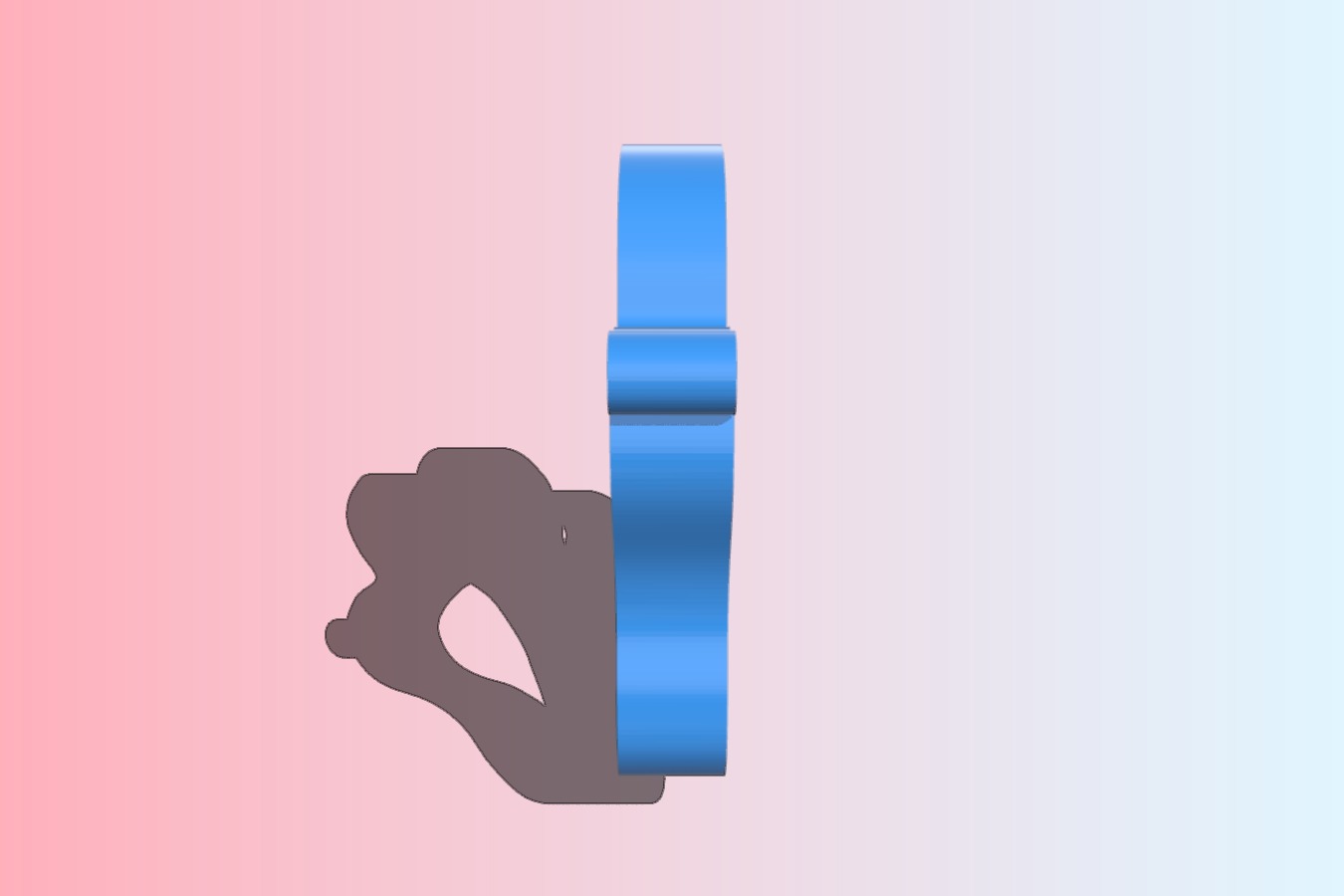 Paw Keychain