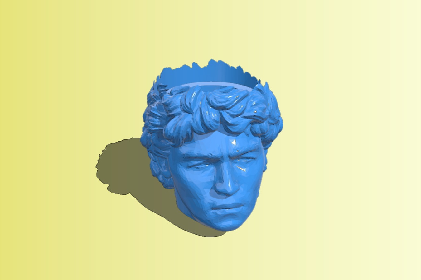 Mate Maradona