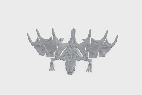 Articulated Skeleton Dragon | 3d print model