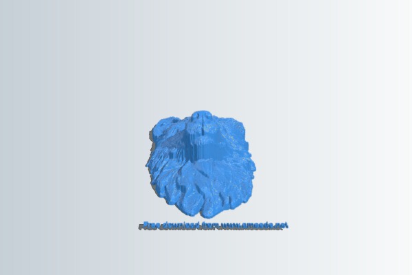 Wolf head | 3d print model