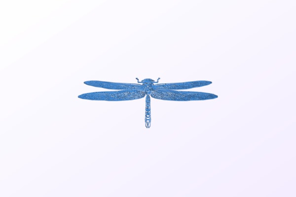 Dragonfly | 3d print model