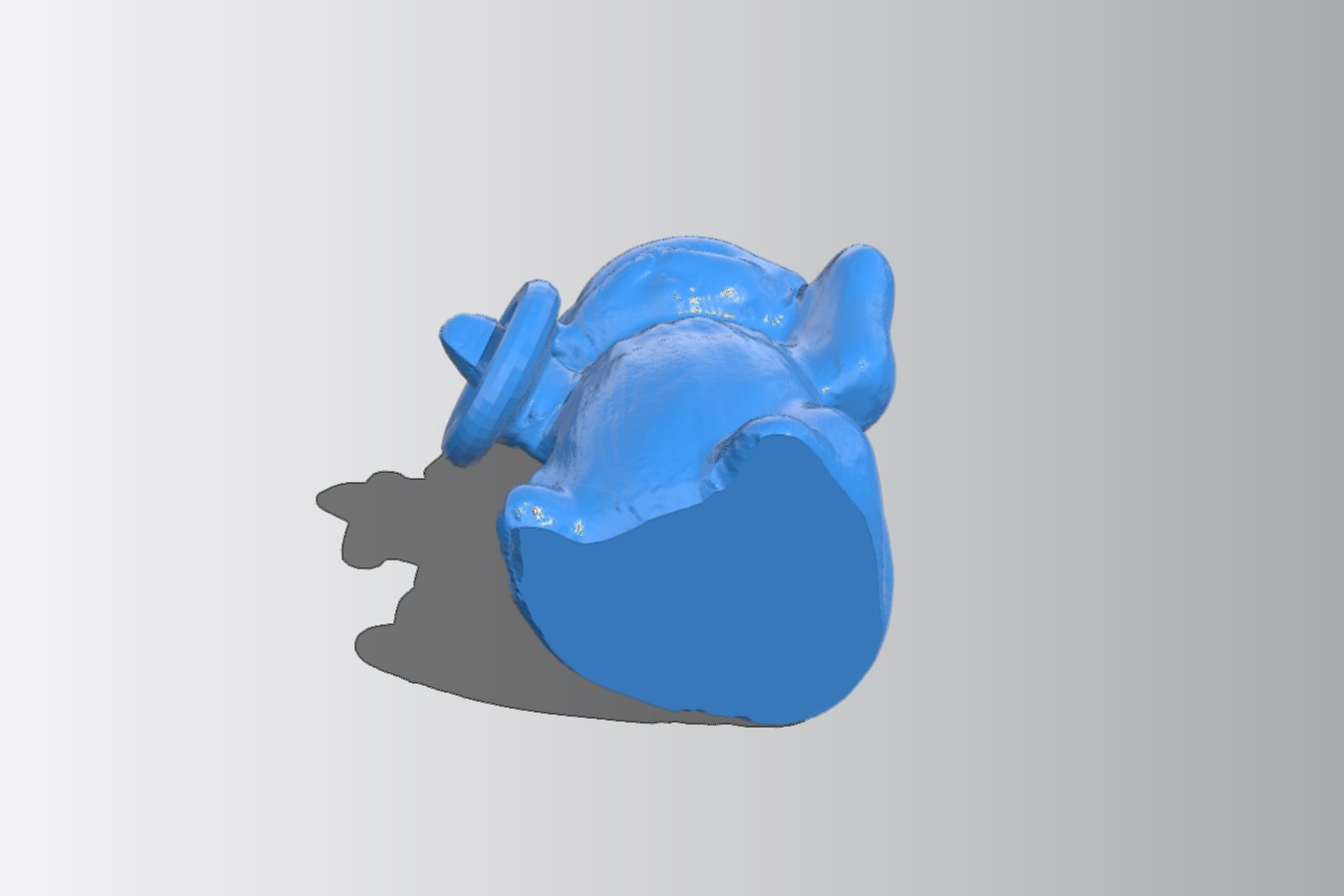 Cat ring