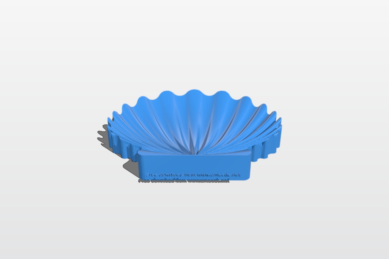 Sea shell
