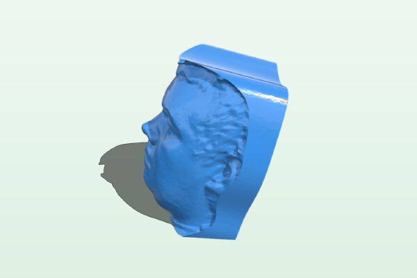 My MakerBot 3D Portrait from Dec 19, 2012 | 3d print model
