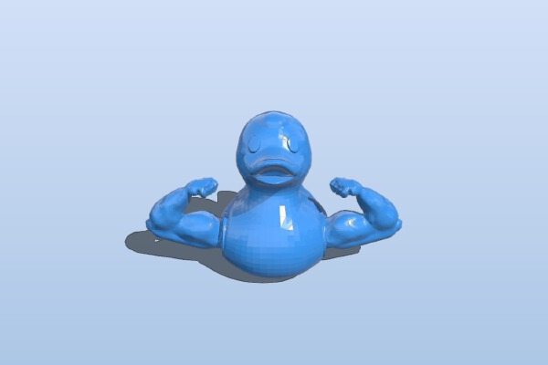 Muscle Duck | 3d print model