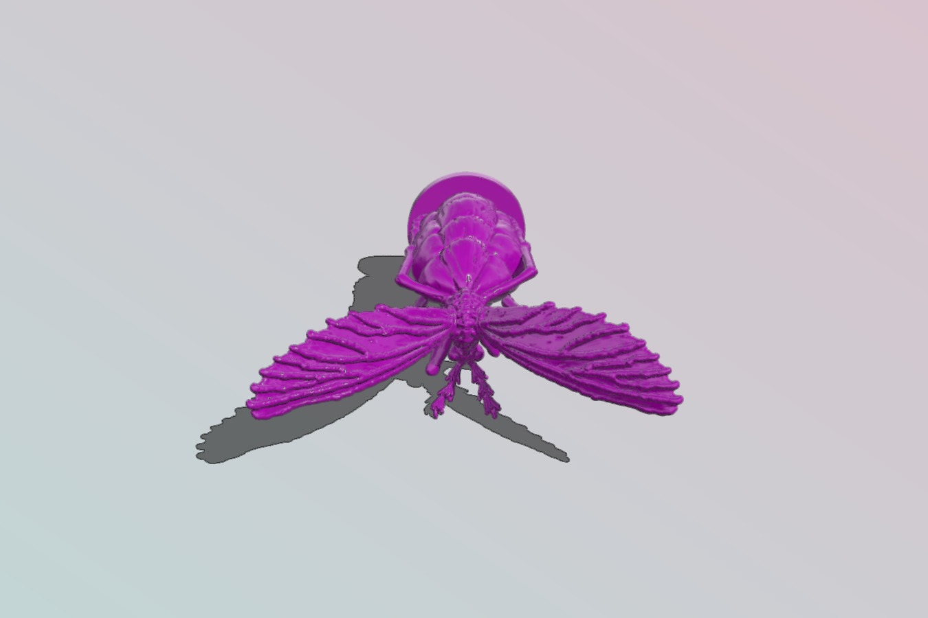 Repaired bloated mosquito