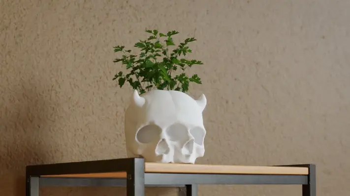 Triclops skull Planter | 3d print model